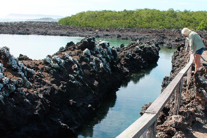 Isabela Island Explorer 3 days 2 nights - Photo 1 of 8
